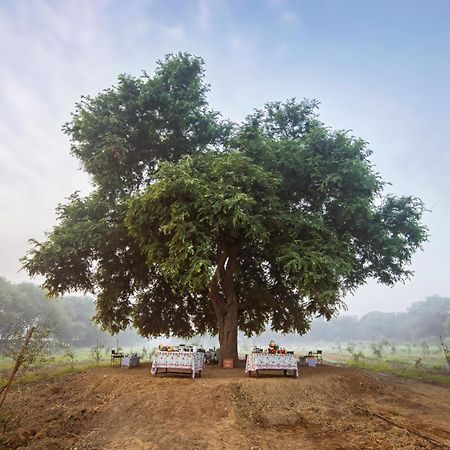 Mela Kothi - The Chambal Safari Lodge Bāh エクステリア 写真