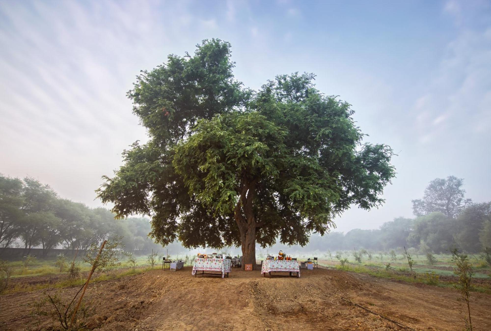 Mela Kothi - The Chambal Safari Lodge Bāh エクステリア 写真