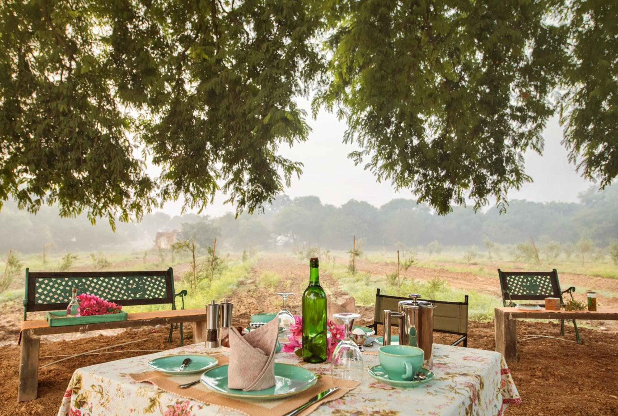 Mela Kothi - The Chambal Safari Lodge Bāh エクステリア 写真