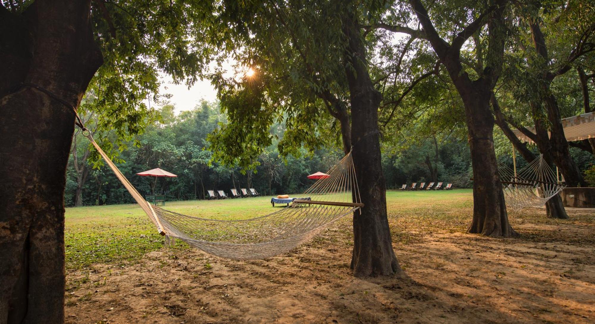 Mela Kothi - The Chambal Safari Lodge Bāh エクステリア 写真